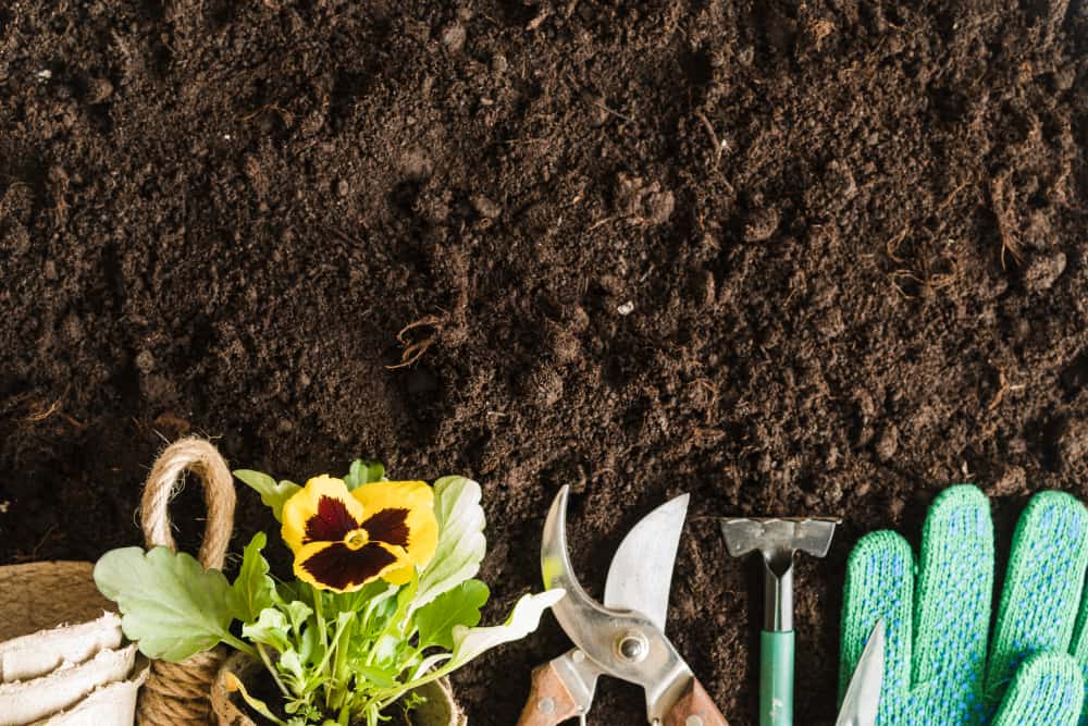 Guía De Jardineria Para Principiantes Flores Navarro
